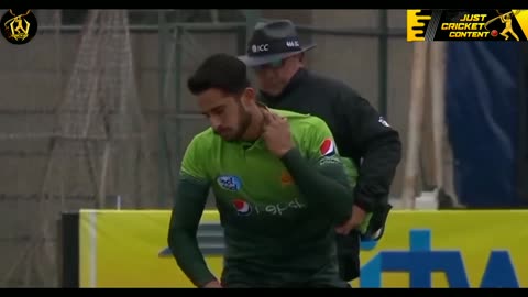 Mastering Cricket Funny Vedio