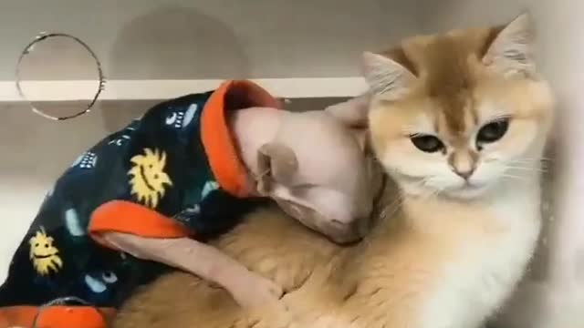 How fluffy you are, just lovely!