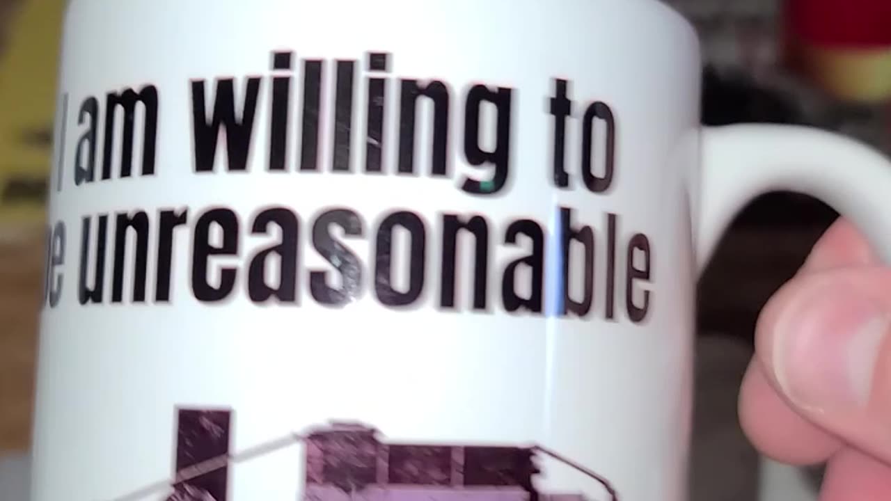 I am willing to be unreasoanble mug