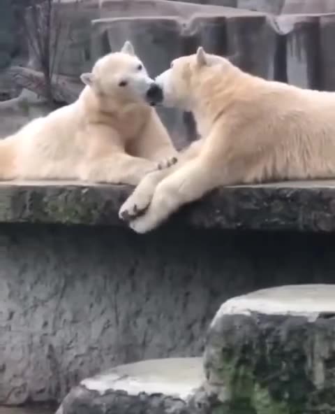 Get a room you two 😍😍🤣