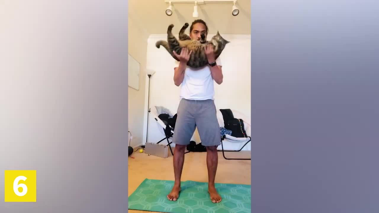 Funny pets interrupting workout