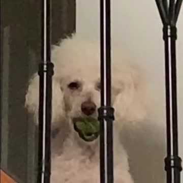 I heard someone talk about food 😡 and I wasn’t invited