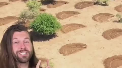 This is amazing