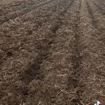 Cluster Cannister in ukraine