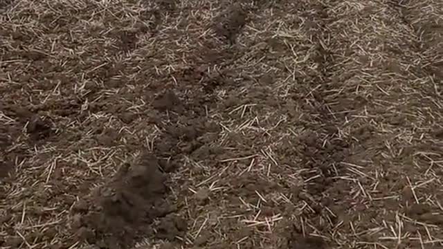 Cluster Cannister in ukraine