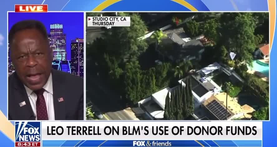 LEO TERRELL: ‘It’s Time to Investigate Black Lives Matter’