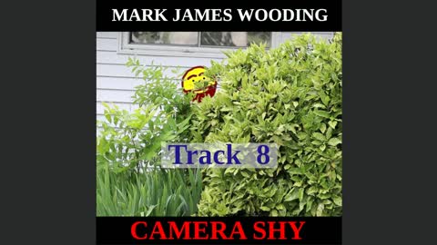 Camera Shy - Track 08