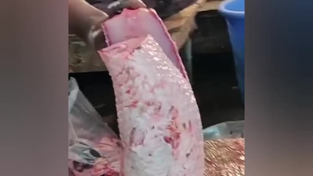 Fish cutting skills