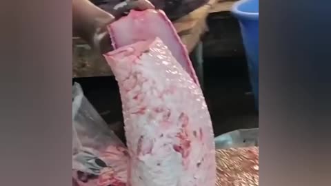 Fish cutting skills