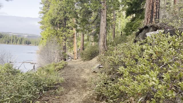 Shoreline Circumnavigating of Suttle Lake, 3.6 Mile Loop – Central Oregon – 4K