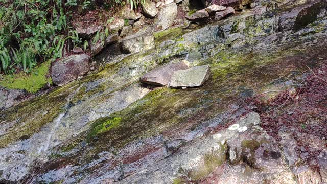 Quiet Waterfall on Hike