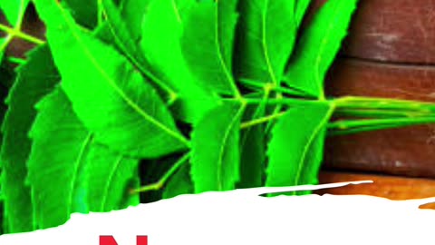 Benefits Of Neem । Beauty Benefits of Neem