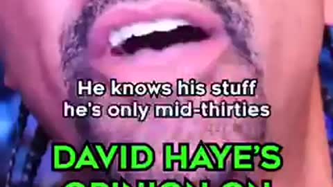 David Hayes On Andrew Vs KSI