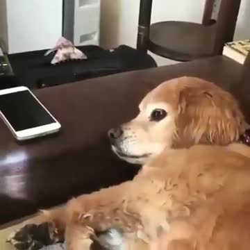 Don’t use your phone when you are with me