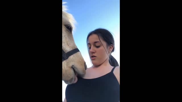 Viral shorts| comedy|Trending animals lover horse