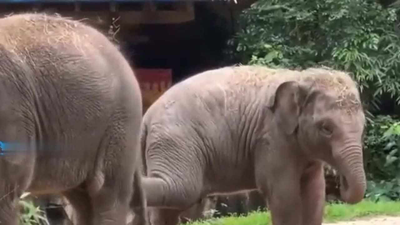 Children are children 😁#funnyvideo #funnyvideos #funnyvideos2023 #funny #funny2023
