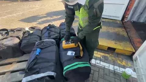 Cocaína en paquetes que iban en contenedor