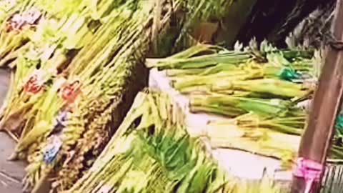 Coconut leaves for sale in the Philippines