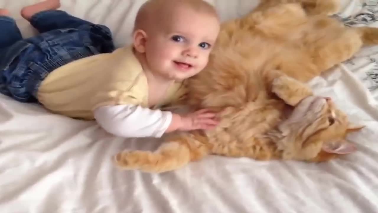 Funniest Cats Meeting Babies for THE FIRST TIME