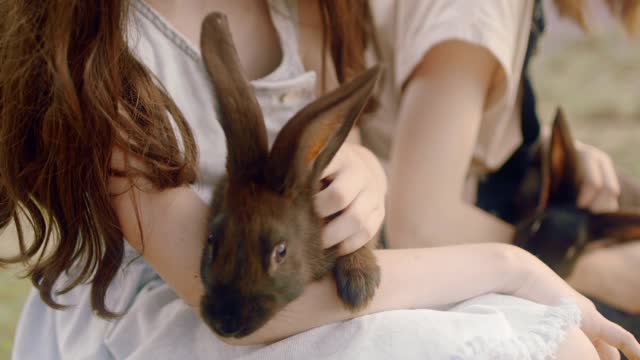 Close-Up View of a Girls Holding a Rabbits