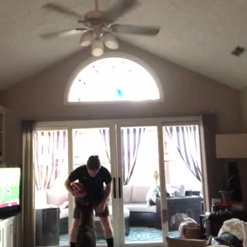 German Shepherd loves to play football