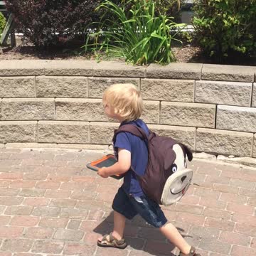 Walking off a Pokemon Go egg