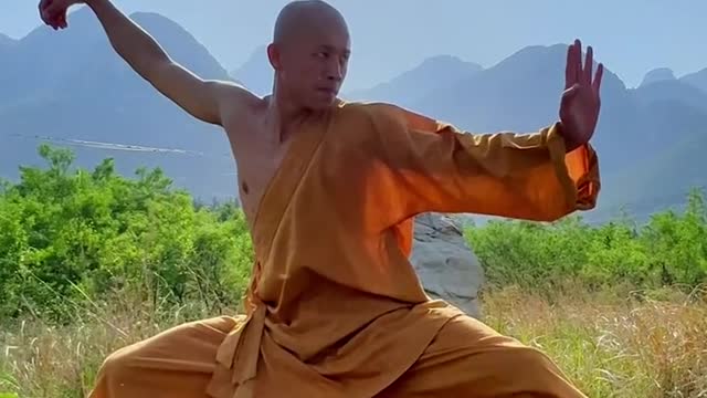 Chinese mysterious kung fu