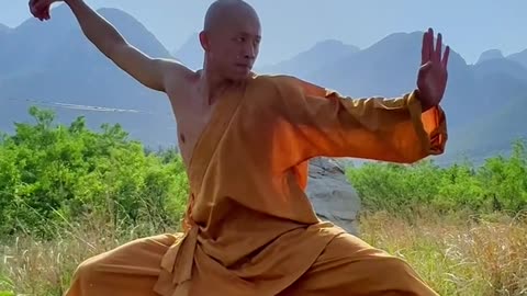 Chinese mysterious kung fu