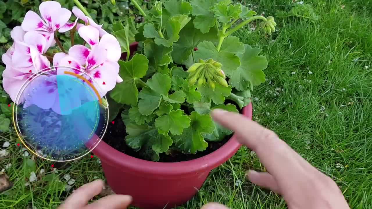 Nutrientes gratis para tus plantas