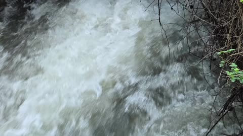 High water river going down