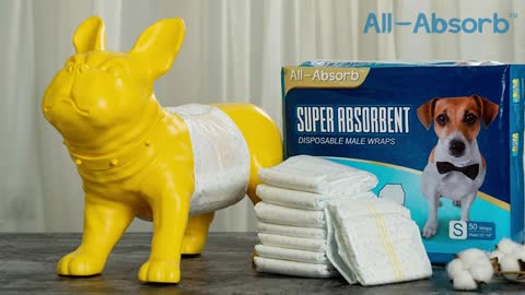 All-Absorb Male Dog Wrap, 50 Count