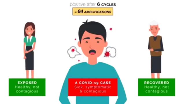 PCR tests explained