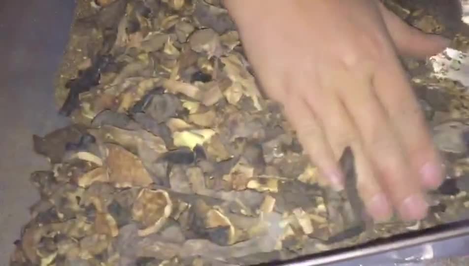 Multi-purpose Spice Herbs Grinding Machine manufacturer