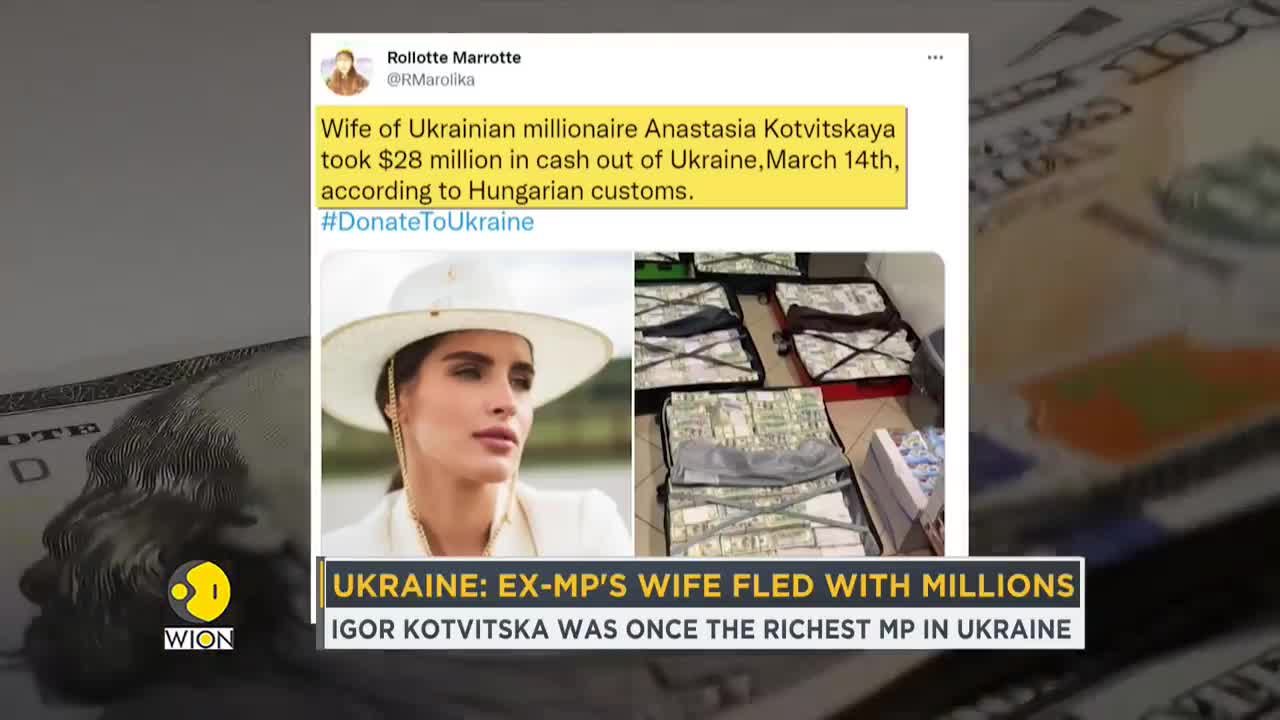 Wife of former Ukrainian mp tries to flee country with 28 million dollars