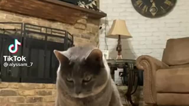 I felt bad after doing this😥