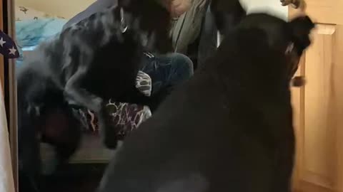 Fred playing with Fred