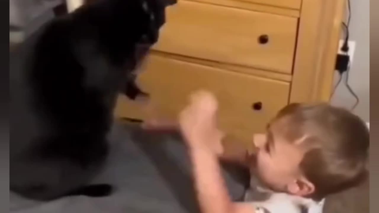 Funny baby and cat reaction 🤣🤣