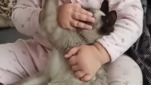 Cute Little Babies and Cats Being