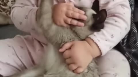 Cute Little Babies and Cats Being