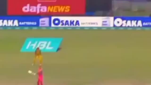 fans-video cricket lovers-video #cricket #cricketlover