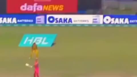 fans-video cricket lovers-video #cricket #cricketlover