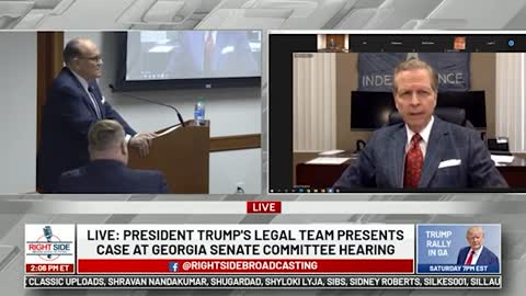 Witness #3 Speaks at GA Senate Committee Hearing on Allegations of Election Fraud. 12/03/20.