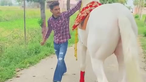 Horse riding