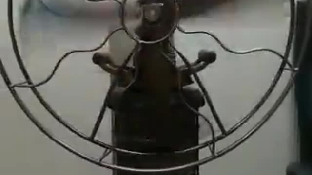 Lamp Fan