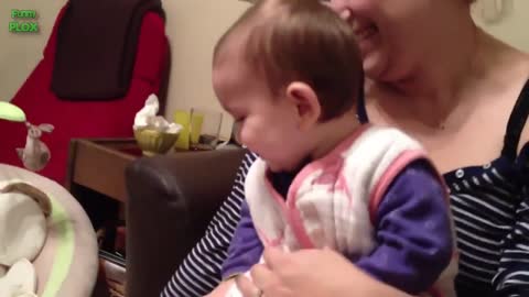 Funny Babies Laughing Hysterically at Dogs Compilation