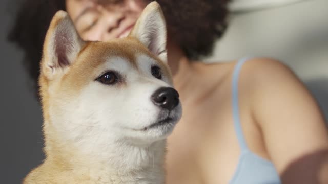 Dog and girl playing on the bed
