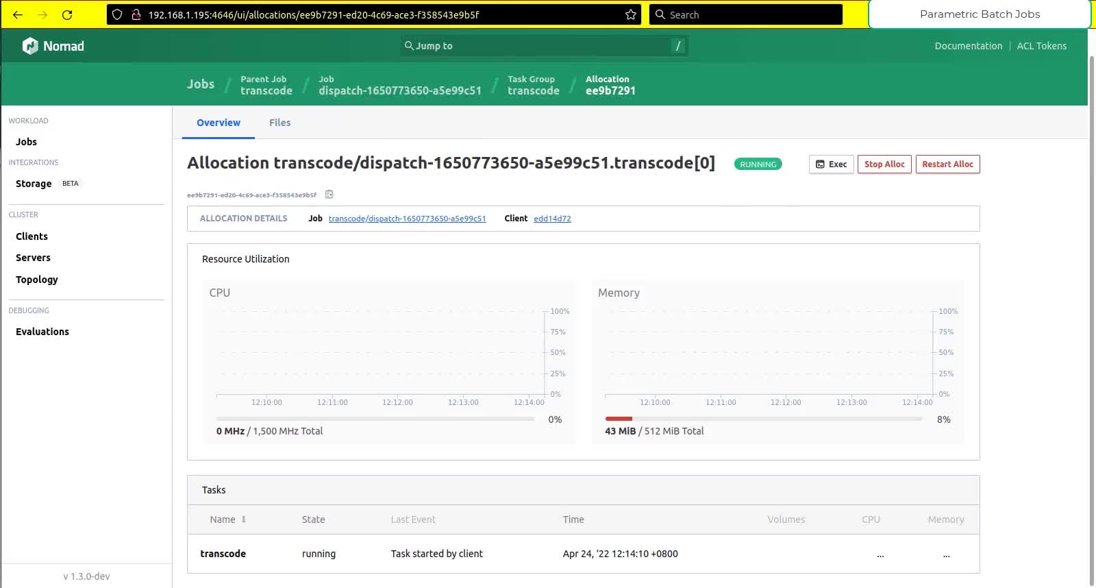 Scaling out IO-intensive parametrized jobs with Nomad and BeeGFS