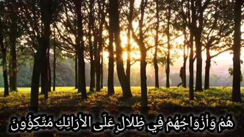Quran