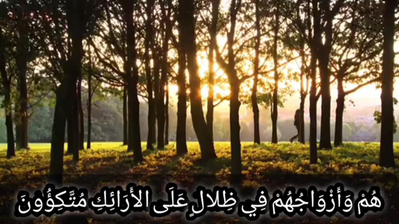 Quran