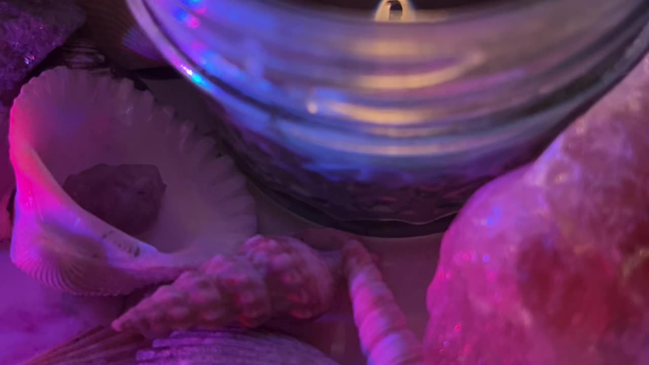 Love is their message 🔥